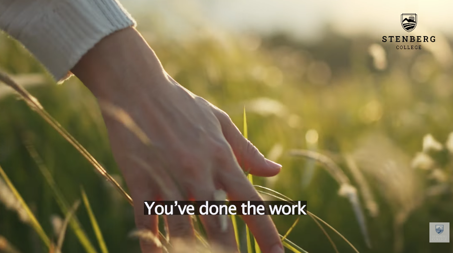 Counselling Therapist Program